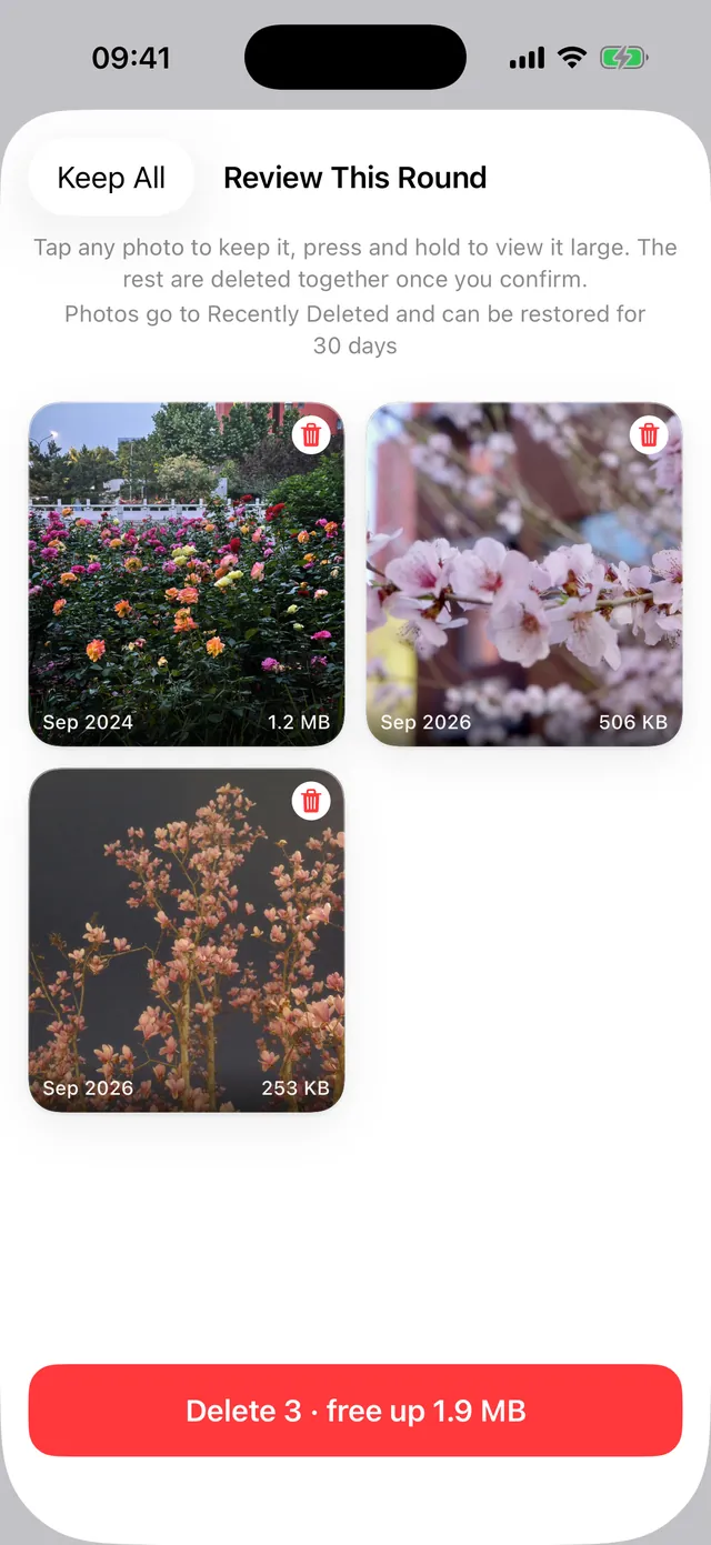 Review screen with the photos queued for deletion laid out in a grid